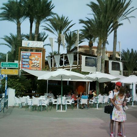 Ferienwohnung La Rosaleda Torrevieja Exterior foto